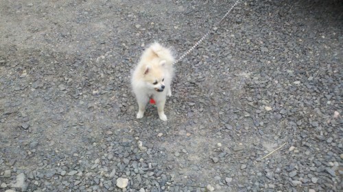 2013-05-17_16-42-23_194