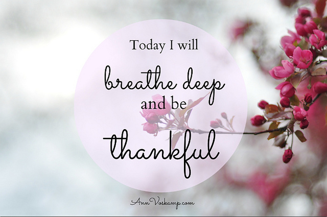 8665554140_0d1097fdd2_z