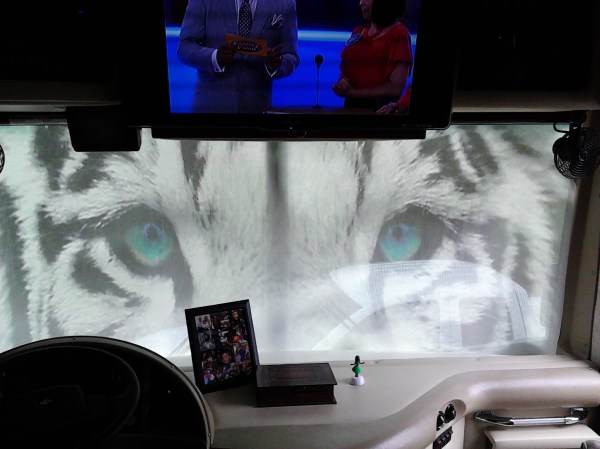 siberiantigerinsidescreen