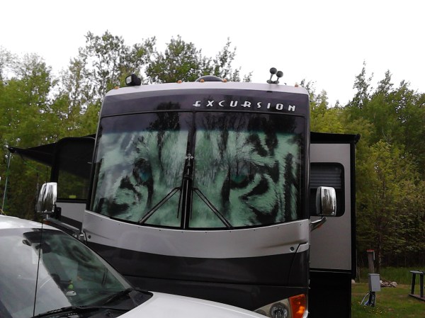 siberiantigerscreen2