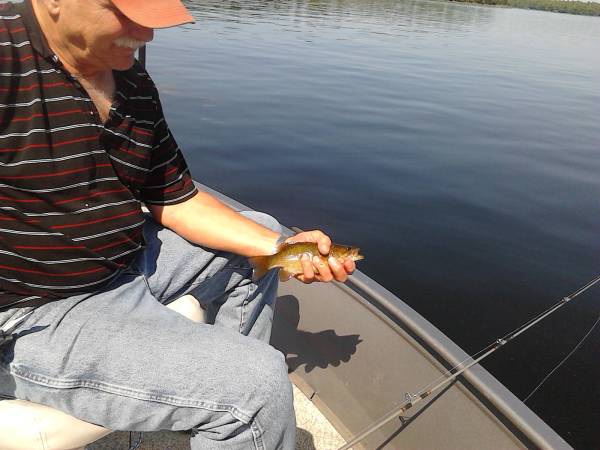 fishing roy small mouth bass
