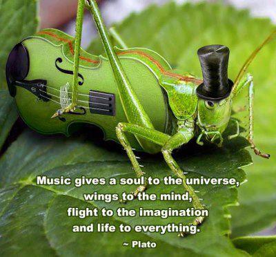 298087_509387402456576_928255323_n