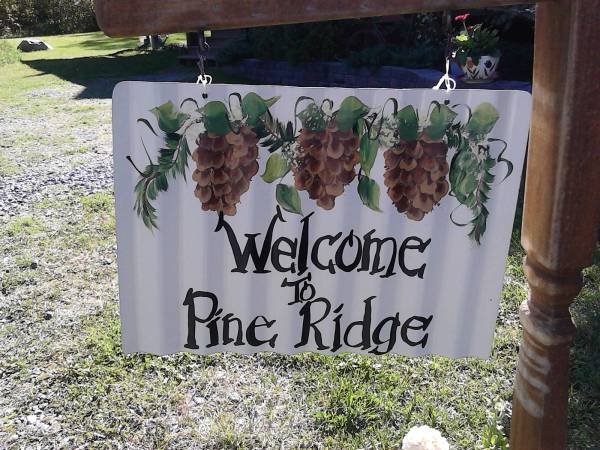 a pine ridge 4