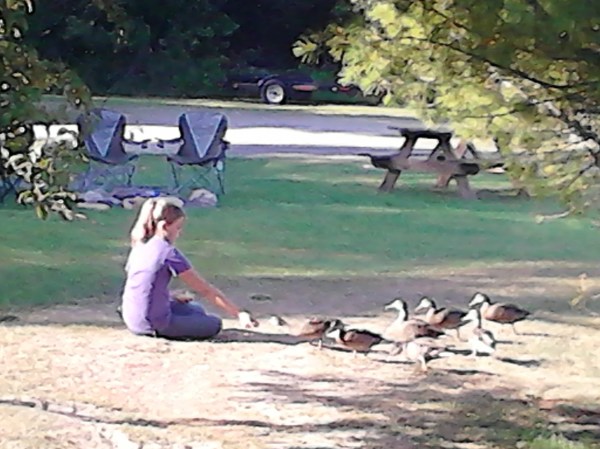girl feeding ducks