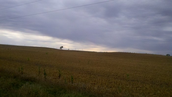 fc corn fields with turbines