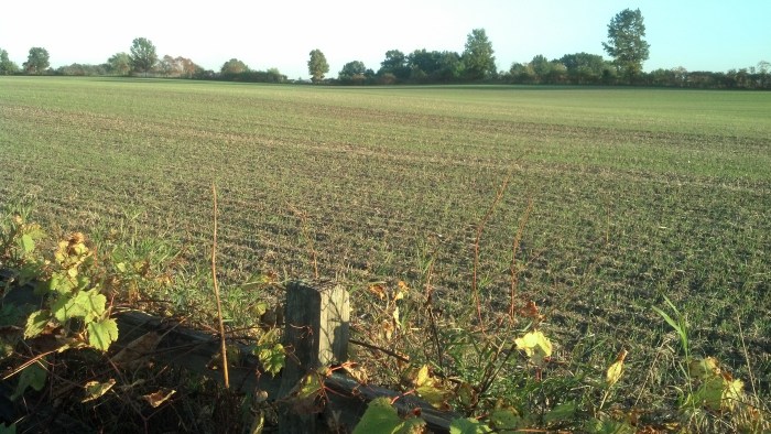 IMG_20131010_183143_423