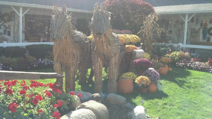 IMG_20131011_151320_582