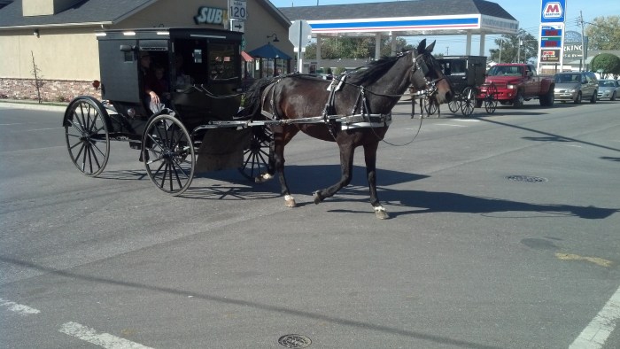 IMG_20131011_151742_042