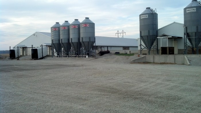 IMG_20131029_173900_281