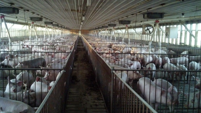 IMG_20131029_174831_803