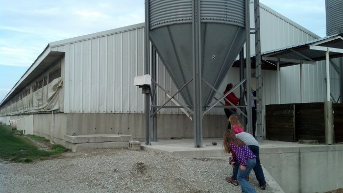 IMG_20131029_174947_206