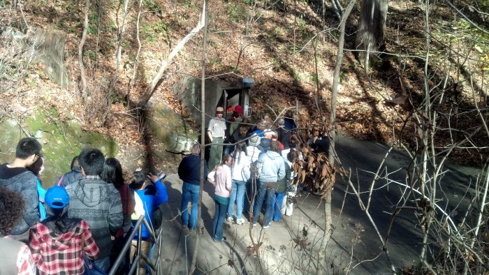 IMG_20131110_094847_204