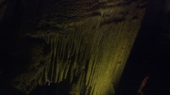 IMG_20131110_105401_425