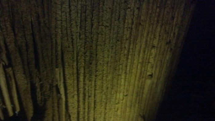 IMG_20131110_105426_976