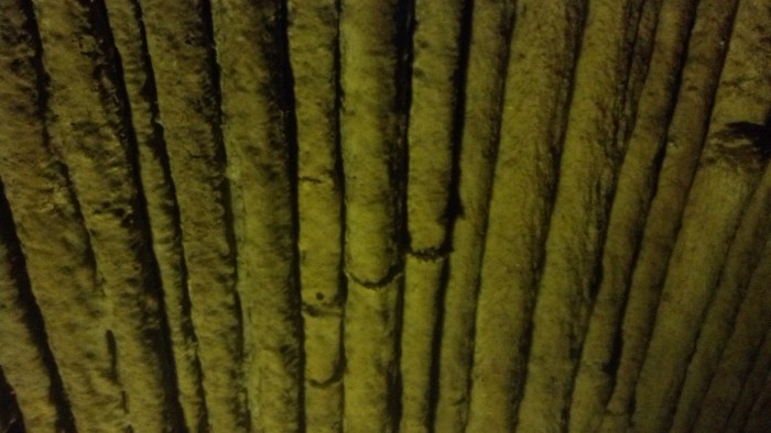 IMG_20131110_105450_719