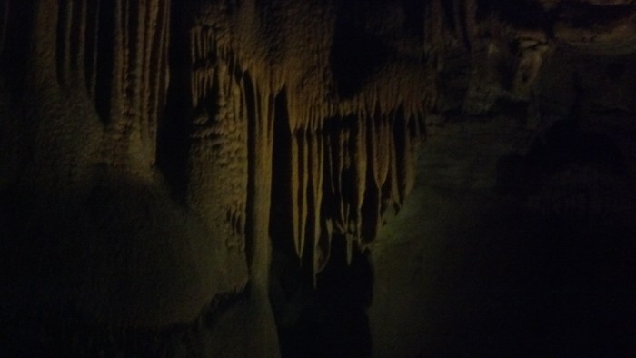 IMG_20131110_105503_215