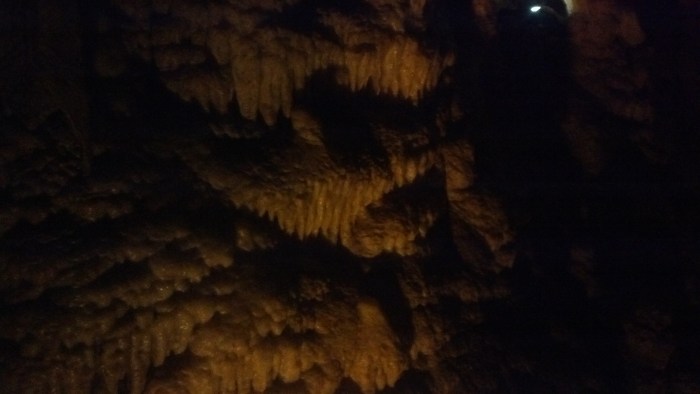 IMG_20131110_105556_295