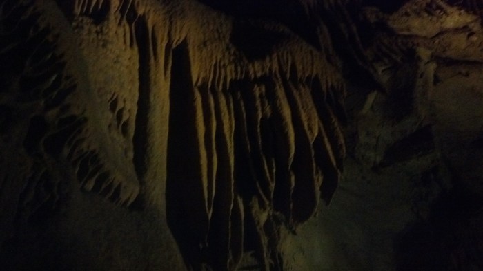 IMG_20131110_105800_007