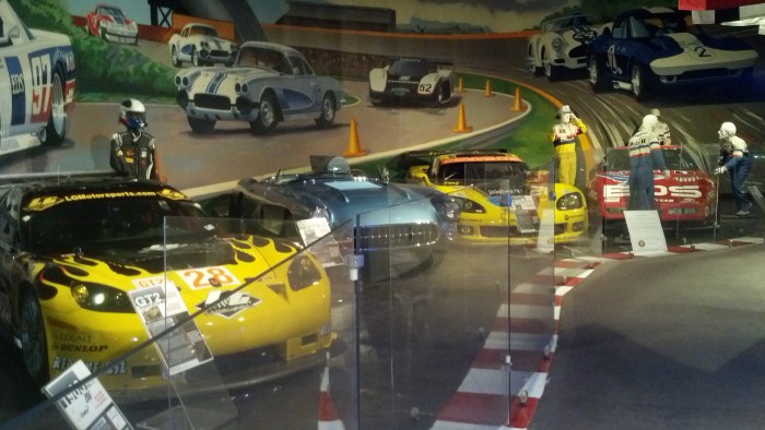 IMG_20131111_105324_609