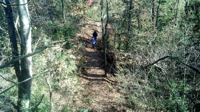 IMG_20131111_124507_247