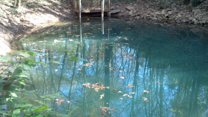 IMG_20131111_125713_853