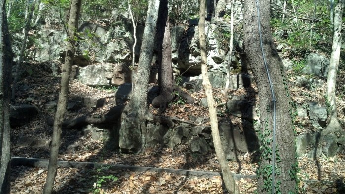 IMG_20131111_125736_415