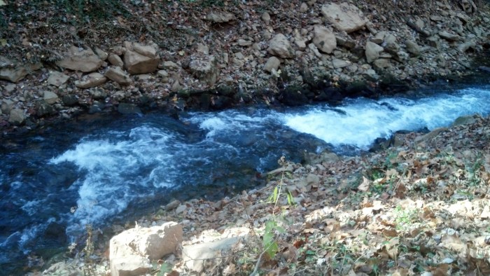 IMG_20131111_130314_647