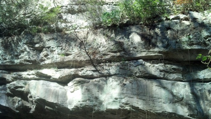 IMG_20131111_130335_172