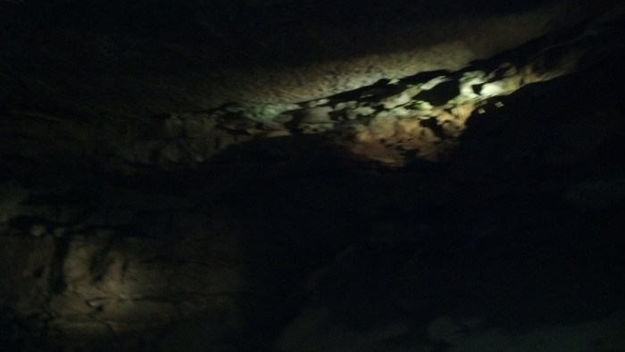 IMG_20131111_131317_684