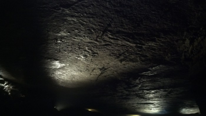 IMG_20131111_131447_245