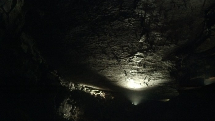 IMG_20131111_132209_446