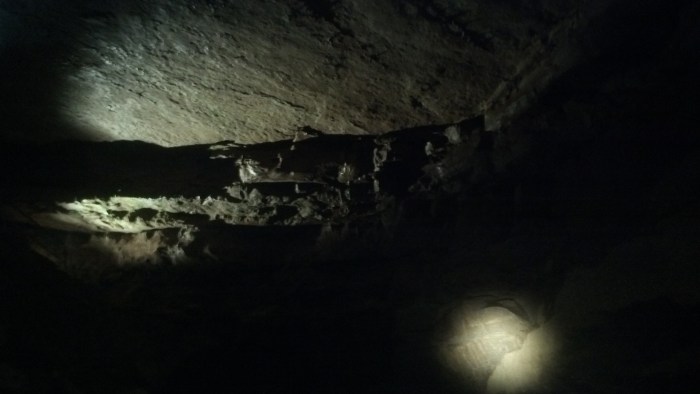 IMG_20131111_132450_852