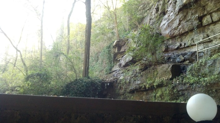 IMG_20131111_133123_764