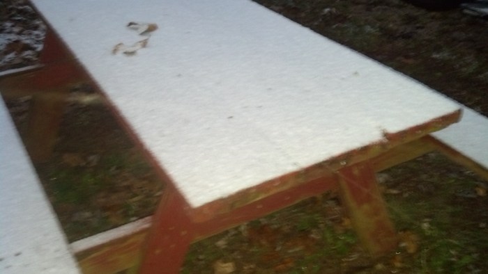 IMG_20131112_061534_471