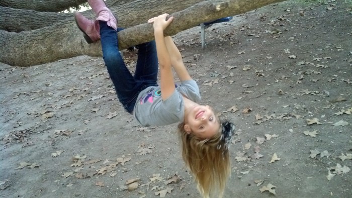 madisyn tree hanging