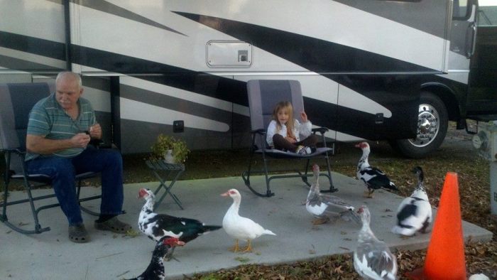 1461189_10100760570178564_1201860745_n