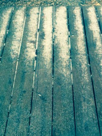 1484115_10100466435707573_1209973492_n