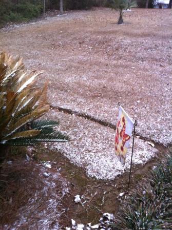 1555319_10100829040513464_1859567398_n