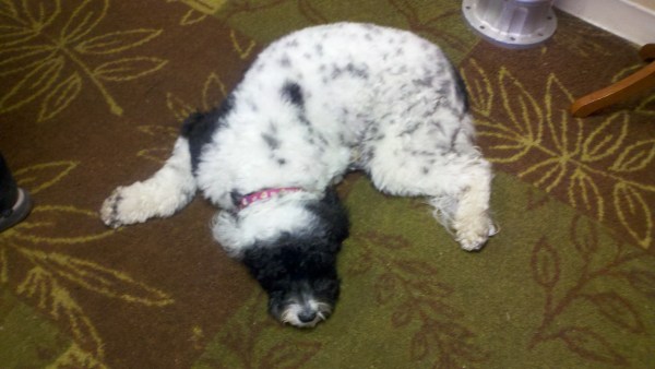 2014-01-24_12-46-40_818