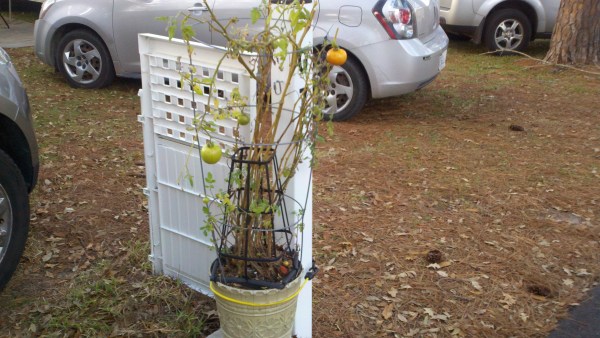 2014-01-24_16-59-23_151