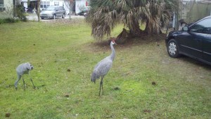 2014-01-26_16-09-05_236