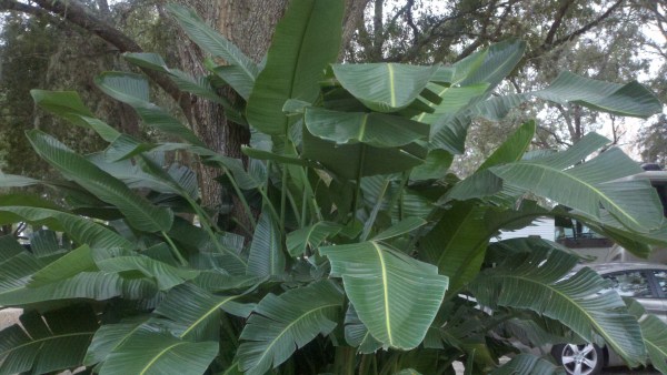 2014-01-26_16-13-22_556