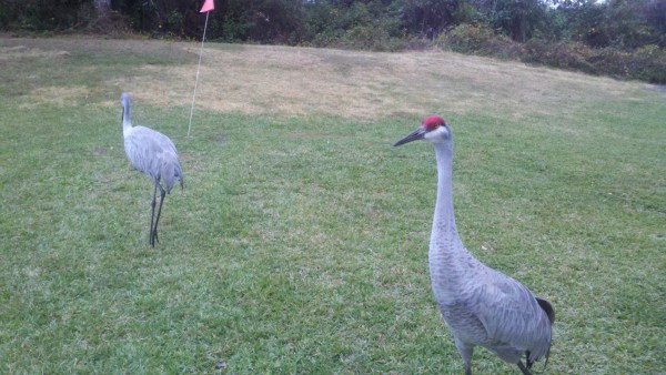 2014-01-26_16-21-36_605