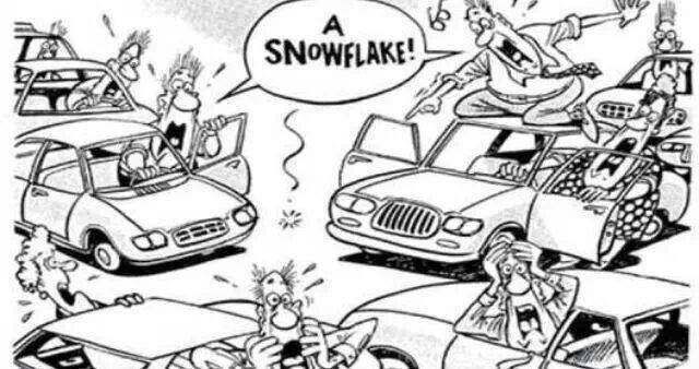 253262_716467645059894_1130008092_n