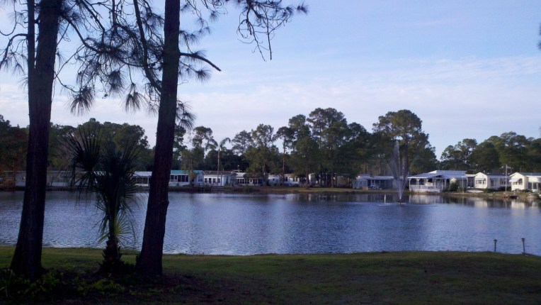 bees lake