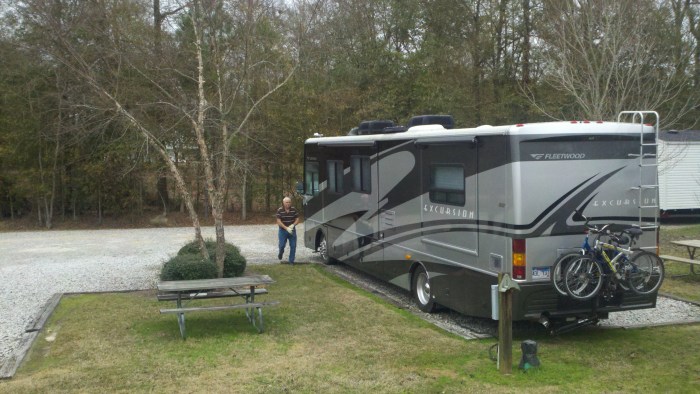 c berryland dora roy