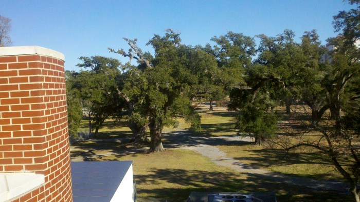 ook from above 3 - Copy