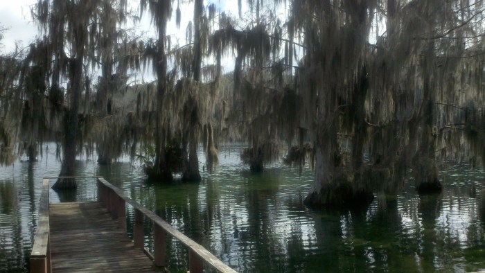 2014-02-08_11-25-19_501