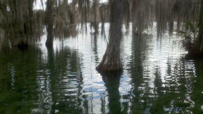 2014-02-08_11-26-58_158