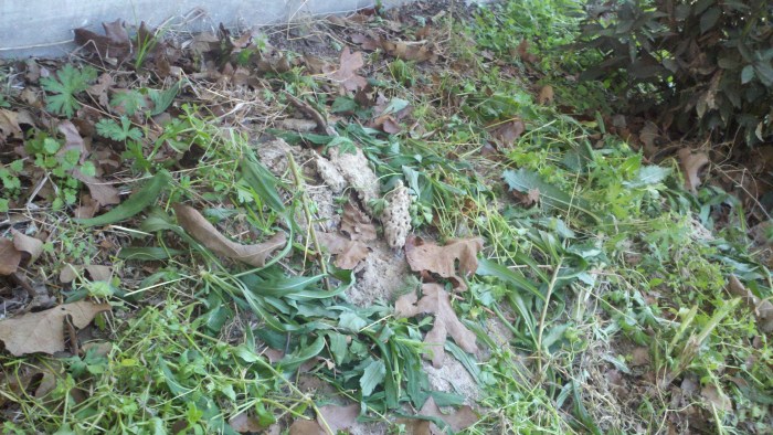 2014-03-25_11-44-27_8